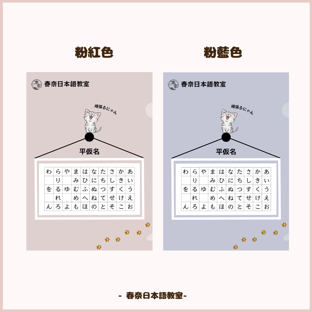 A4 file cover