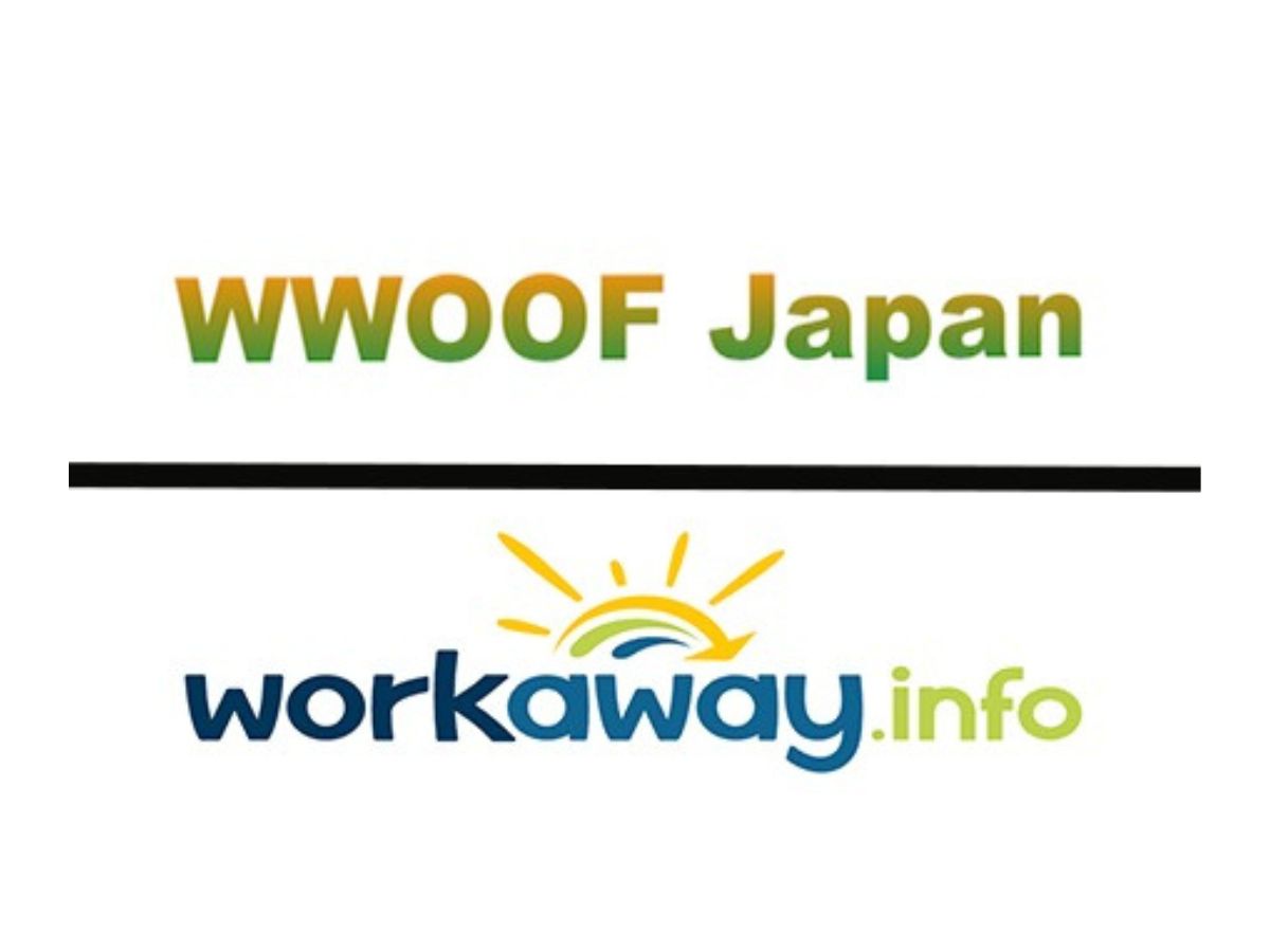 在日本打工換宿，深入了解地道文化